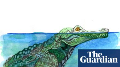 Колико дуго крокодили могу остати под водом без дисања? Квиз за децу | Породица