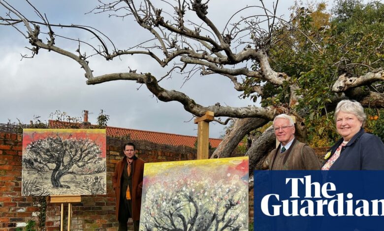 Оригинално дрво јабуке Брамлеи ‘у опасности’ након што је локација на којој расте стављена на продају | Нотингем