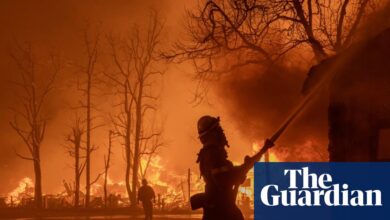 Студија открива глобално повећање врућих, сувих дана идеалних за пожаре | Климатска криза