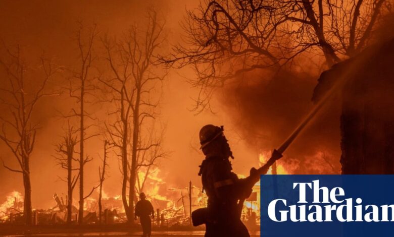 Студија открива глобално повећање врућих, сувих дана идеалних за пожаре | Климатска криза