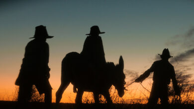 Аутохтони аустралијски вестерн Ворвика Торнтона