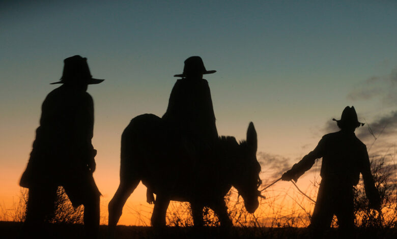 Аутохтони аустралијски вестерн Ворвика Торнтона
