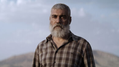 Огромна политичка алегорија Емина Алпера