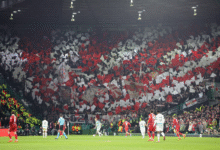 Присталице Штутгарта у поруци Зелене бригаде у Селтик парку