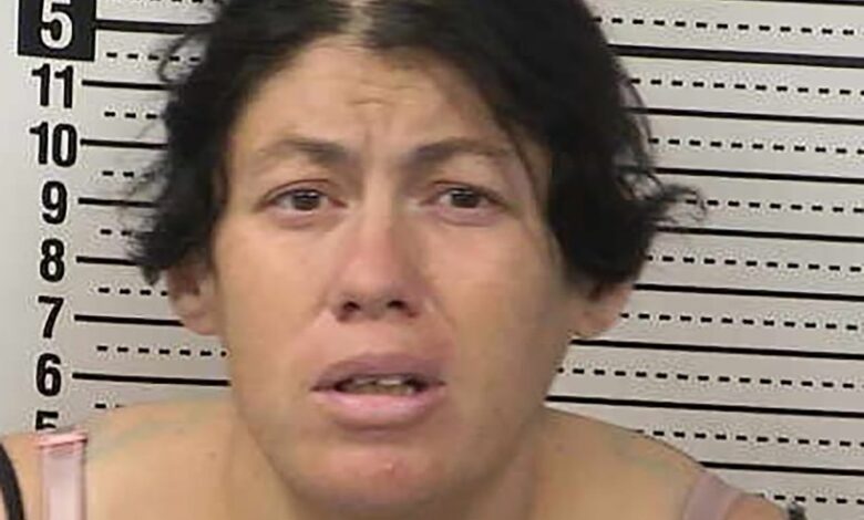 Мајка из Новог Мексика удавила новорођенче у ноши неколико тренутака након порођаја: полиција Мајка из Новог Мексика удавила новорођенче у ноши неколико тренутака након порођаја: полиција