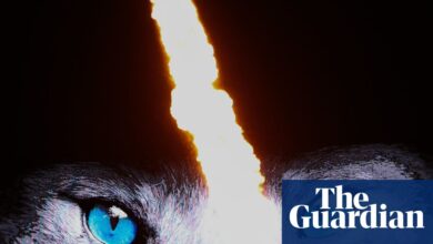 Рањене лисице и бескорисно путовање у ФА куп њиховим мучитељима Саинтли | Фудбал