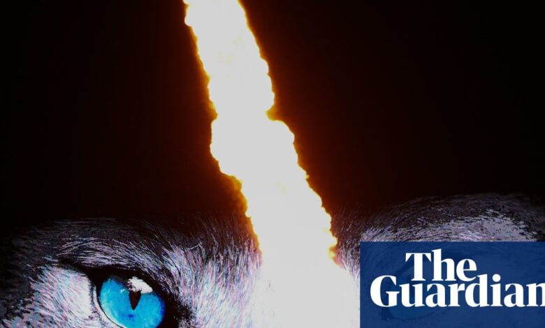 Рањене лисице и бескорисно путовање у ФА куп њиховим мучитељима Саинтли | Фудбал Рањене лисице и бескорисно путовање у ФА куп њиховим мучитељима Саинтли | Фудбал