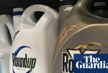 Трампова наредба настоји да заштити убицу корова у центру салве тужби | Пестициди