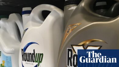 Трампова наредба настоји да заштити убицу корова у центру салве тужби | Пестициди