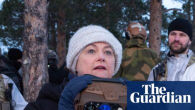 Велика Британија разматра нове санкције Русији након што је Наваљни открио токсин жабе | Спољна политика