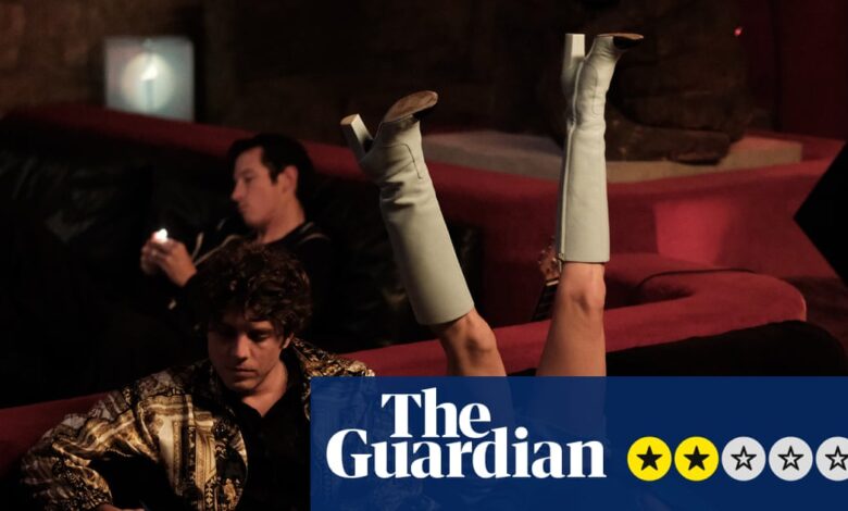 Преглед резидбе ружиног грма – нефункционална богата породица сели се у чудним круговима | Филмови