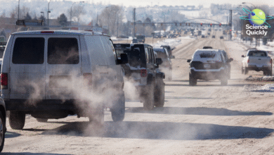 Трамп одбацује науку о клими, зима иде на крај, а на Олимпијади се појављују гласине о „Пенисгејту“