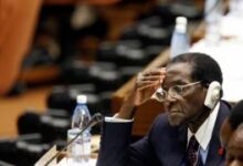 пуцао је у свог баштована и сакрио пиштољ