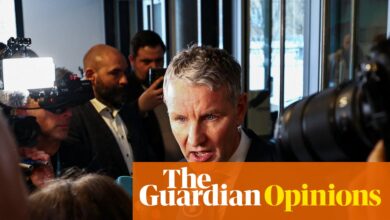 АфД кокетира са нацистичком историјом – али сам морални гнев неће зауставити крајњу десницу | Катја Хоиер