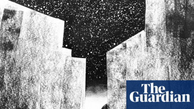 Песма недеље – од пластике: Песма Метјуа Рајса | Поезија