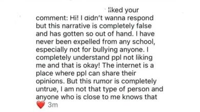 Ћерка Гвинет Палтроу, Епл Мартин, осудила се на лажне тврдње да је избачена због малтретирања Ћерка Гвинет Палтроу, Епл Мартин, осудила се на лажне тврдње да је избачена због малтретирања