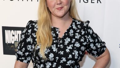 Планови Ејми Шумер за Дан заљубљених после развода Криса Фишера