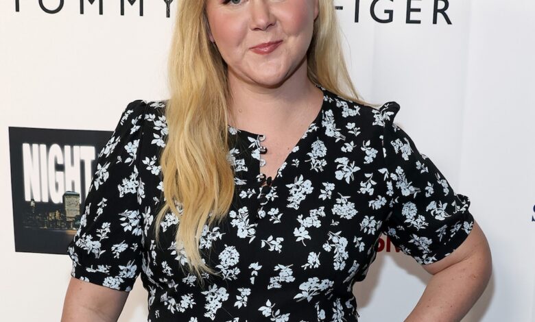 Планови Ејми Шумер за Дан заљубљених после развода Криса Фишера