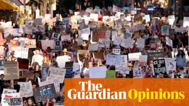 Democrats have a constitutional power they aren’t using to fight back: state resolutions | Sidney Blumenthal