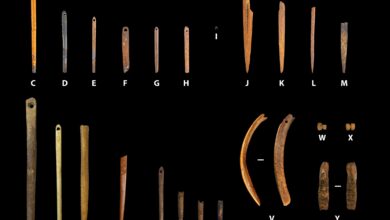 Најстарија позната шивена одећа на свету можда је сашивени комади коже леденог доба откопани у пећини Орегон