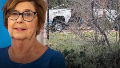 Чистачи базена се појављују у њеној кући усред полицијске истраге