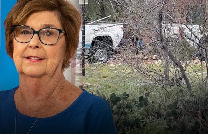 Чистачи базена се појављују у њеној кући усред полицијске истраге