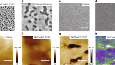 Огромно складиштење енергије и диелектричне перформансе у потпуно полимерним нанокомпозитима