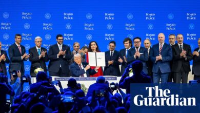 Злоупотребе предвођене Трампом усред ‘демократске рецесије’ довеле су људска права у опасност, каже извештај ХРВ-а | Људска права Злоупотребе предвођене Трампом усред ‘демократске рецесије’ довеле су људска права у опасност, каже извештај ХРВ-а | Људска права