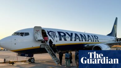 Потребан ‘грејс период’ за двојне држављане који се враћају у Велику Британију по другом пасошу, кажу Либ Демс | Имиграција и азил