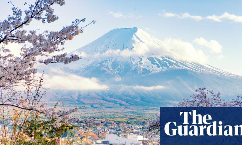 Јапански фестивал цвета трешње отказан због необуздане туристичке ‘кризе’ | Јапан