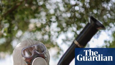 Мучна тропска болест сада се може пренети у већини Европе, открива студија | Заразне болести