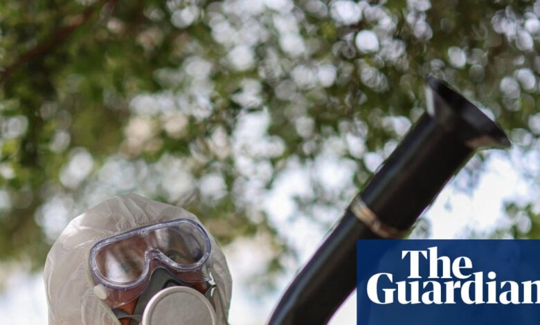 Мучна тропска болест сада се може пренети у већини Европе, открива студија | Заразне болести