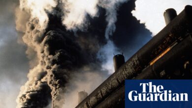 ‘Тренд је неповратан’: да ли је Румунија разбила везу између економског раста и високих емисија? | Румунија