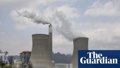 Предузећа морају преузети одговорност за губитак биодиверзитета – за њихово добро колико и за наше | Животна средина