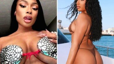 Хот Схотс Меган Тхее Сталлион за почетак њеног 31. рођендана!