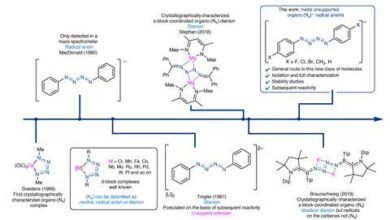 Синтетизовани низ стабилних ланаца азотних радикала | Истраживања Синтетизовани низ стабилних ланаца азотних радикала | Истраживања