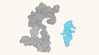 Самосинтезујући РНК ланац нуди трагове о пореклу живота | Вести