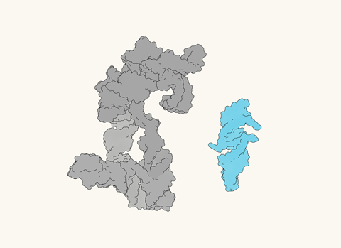 Самосинтезујући РНК ланац нуди трагове о пореклу живота | Вести