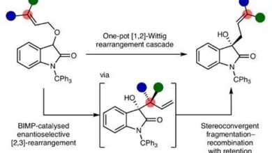 Неукротива (1,2)-Виттигова реакција припитомљена за производњу производа са прецизном стереохемијом | Истраживања Неукротива (1,2)-Виттигова реакција припитомљена за производњу производа са прецизном стереохемијом | Истраживања