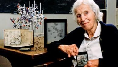 Краљевско друштво тражи помоћ док открива интерактивну мапу Велике Британије која уцртава спомен на жене у науци | Вести