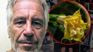 Имејлови Џефрија Епштајна се односе на отровне биљке ‘зомби дроге’ које је држао