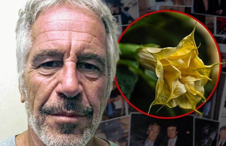 Имејлови Џефрија Епштајна се односе на отровне биљке ‘зомби дроге’ које је држао Имејлови Џефрија Епштајна се односе на отровне биљке ‘зомби дроге’ које је држао