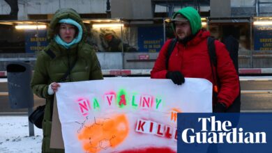 Да ли је тровање Навалног жабљем токсином требало да пошаље поруку? | Алексеј Наваљни