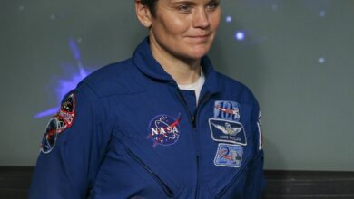 Бивша супруга астронаута Ен Меклејн осуђена на затворску казну за лажни свемирски злочин