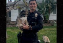 Калифорнијски полицајац постао је вирусан због свог згодног изгледа