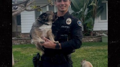 Калифорнијски полицајац постао је вирусан због свог згодног изгледа