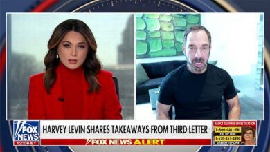 Харви Левин и Марк Герагос повезују тачке у филму Киднаповање Ненси Гатри