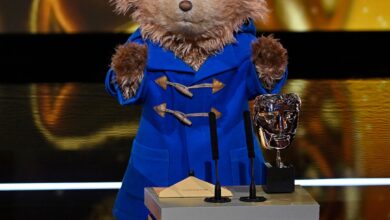 Медвед Падингтон прави историју, представља Медвед Падингтон прави историју, представља