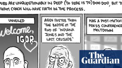 Давид Скуирес на … дози реалности за Игора Тудора након Арсеналове посете др Тотенхему