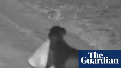 Мушкарац на Сицилији обукао је свог пса да илегално баца смеће, каже полиција | Италија